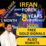 Irfan Fareed